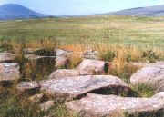 vardenis.jpg (106453 bytes)